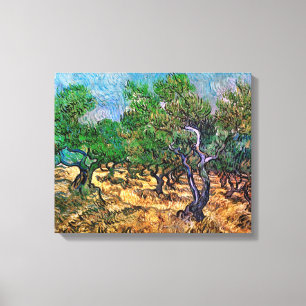Van Gogh - Olive Grove Canvas Print