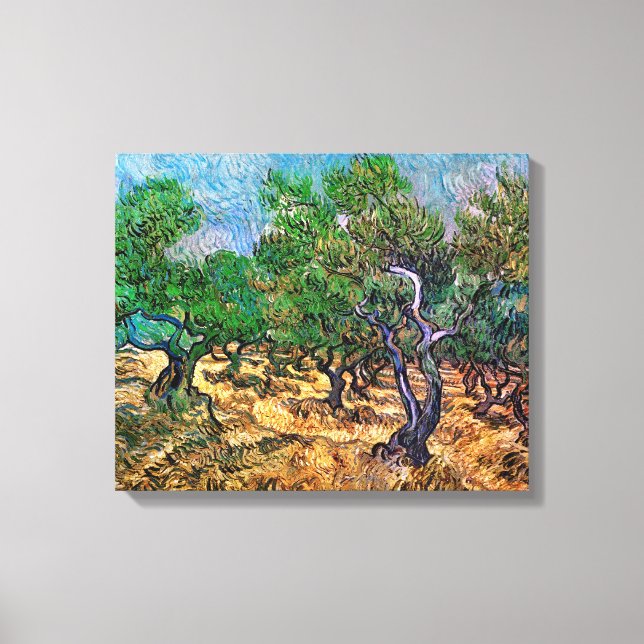 Van Gogh - Olive Grove Canvas Print (Front)
