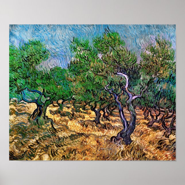 Van Gogh - Olive Grove Poster (Front)