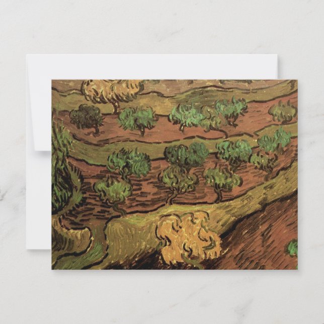 Van Gogh Olive Trees Against a Slope of a Hill (Front)