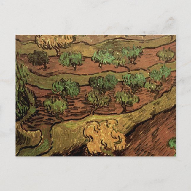 Van Gogh Olive Trees Against a Slope of a Hill Postcard (Front)