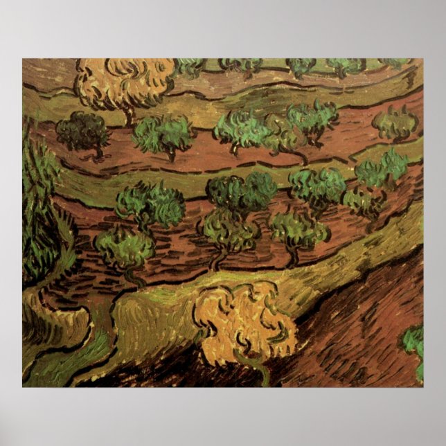 Van Gogh Olive Trees Against a Slope of a Hill Poster (Front)