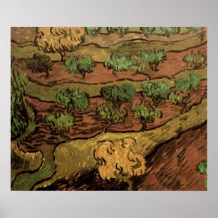 Van Gogh Olive Trees Against a Slope of a Hill Poster