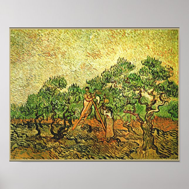 Van Gogh - Olive Trees, fine art painting, Poster (Front)