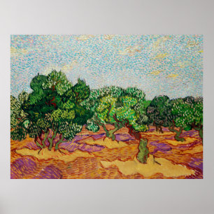 Van Gogh - Olive Trees, Poster