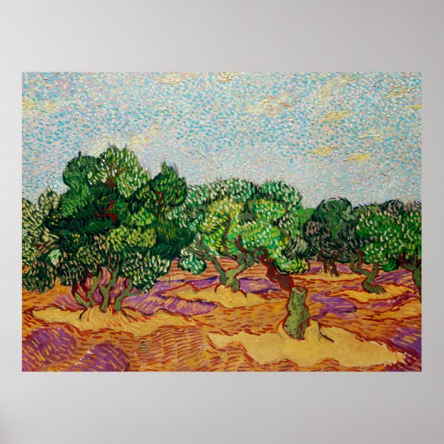 Van Gogh - Olive Trees,  Poster (Front)