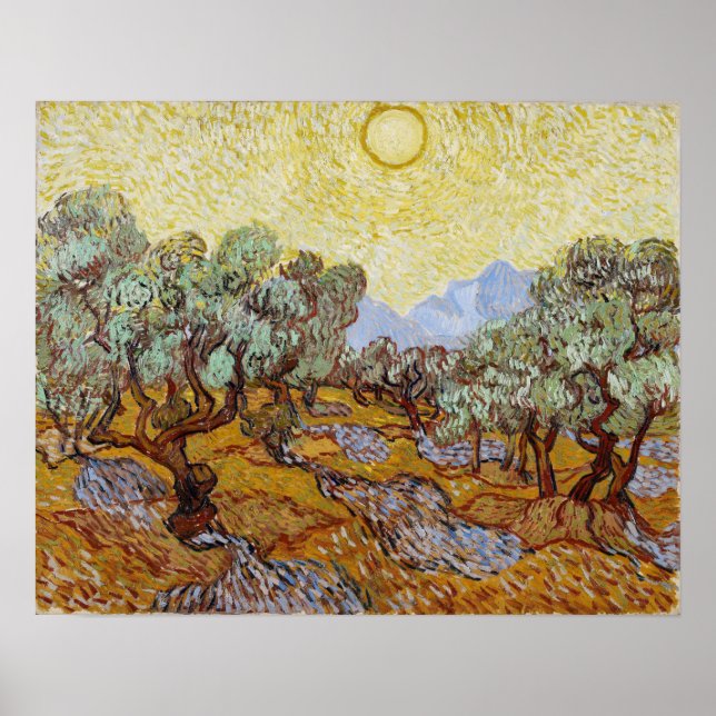 Van Gogh - Olive Trees Poster (Front)