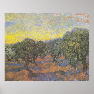Van Gogh Olive Trees Yellow Sky Art Poster