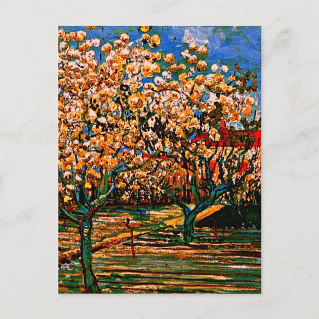 Van Gogh - Orchard in Blossom Postcard (Front)