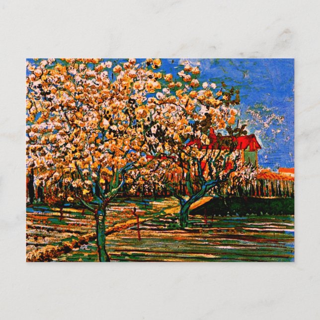 Van Gogh - Orchard in Blossom Postcard (Front)