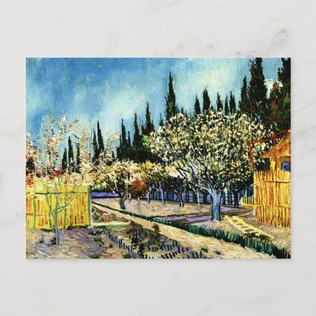 Van Gogh - Orchard Surrounded by Cypresses Postcard (Front)