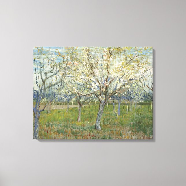 Van Gogh Orchard with Blooming Apricot Trees Canvas Print (Front)