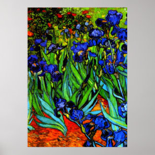 Van Gogh painting, Irises, Poster