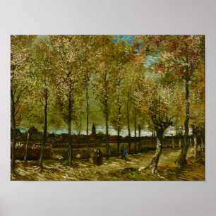Van Gogh Poplars Near Nuenen Landscape Poster