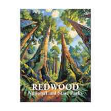 Van Gogh Redwoods Park California Poster Style