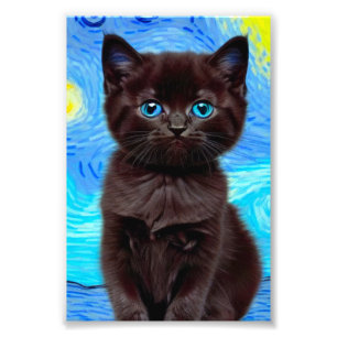 Van Gogh Starry Night Black Cat Photo Print