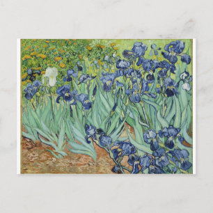 Van Gogh Still Life: Vase with Irises Postcard