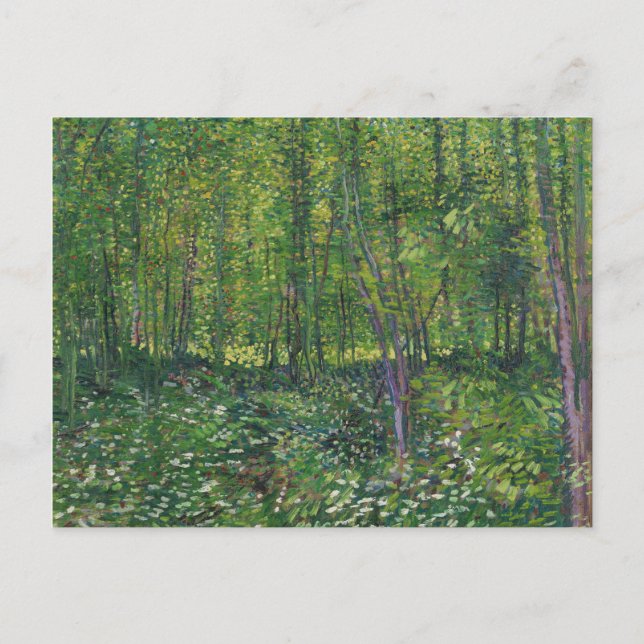 Van Gogh Trees and Undergrowth Postcard (Front)