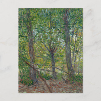 Van Gogh Trees and Underwood(F307) Fine Art Postcard
