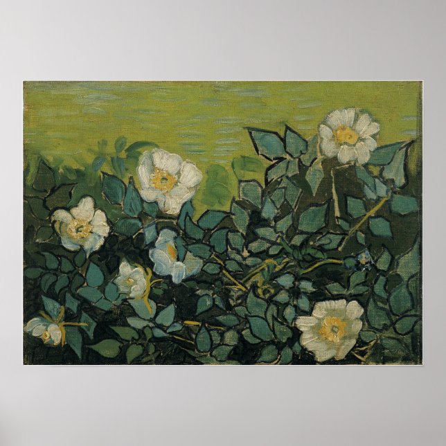 Van Gogh - Wild Roses Poster (Front)