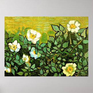 Van Gogh - Wild Roses, Van Gogh floral painting Poster
