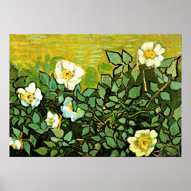 Van Gogh - Wild Roses, Van Gogh floral painting Poster (Front)