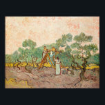 Van Gogh - Women Picking Olives, Poster<br><div class="desc">Women Picking Olives,  famous painting by Vincent van Gogh</div>