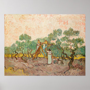 Van Gogh - Women Picking Olives, Poster
