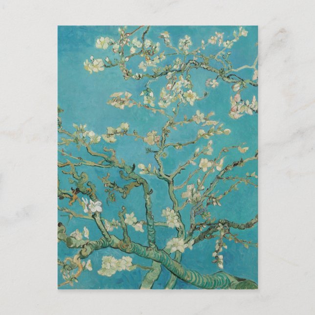 Van gogh's Almond Blossom Postcard (Front)