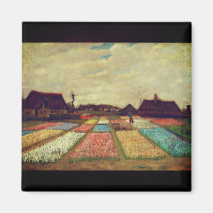 Van Gogh's Blooming Beauty: Bulb Fields Magnet