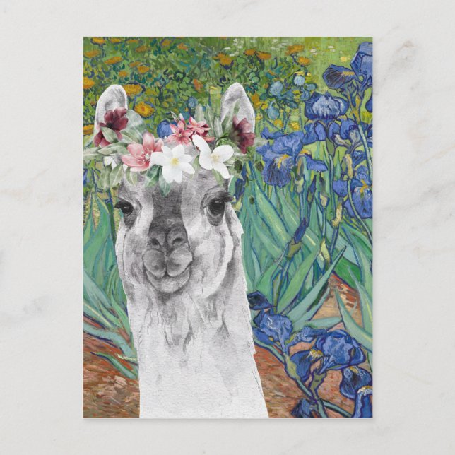 Van Gogh's Irises and Fancy Llama Postcard (Front)