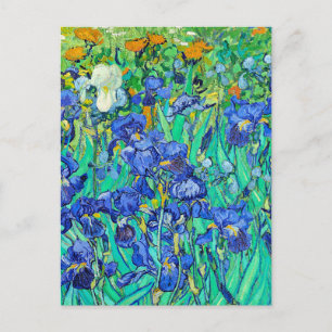 Van Gogh's Irises Postcard