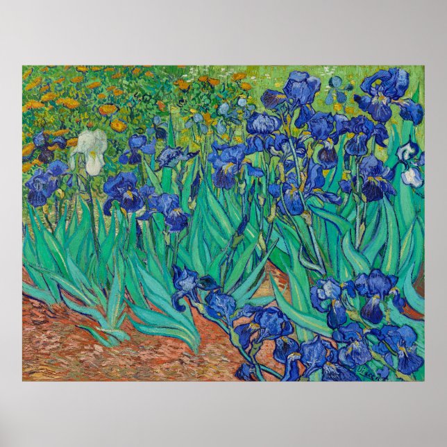 Van Gogh's Irises Poster (Front)