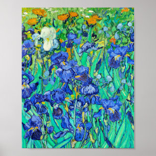 Van Gogh's Irises  Poster