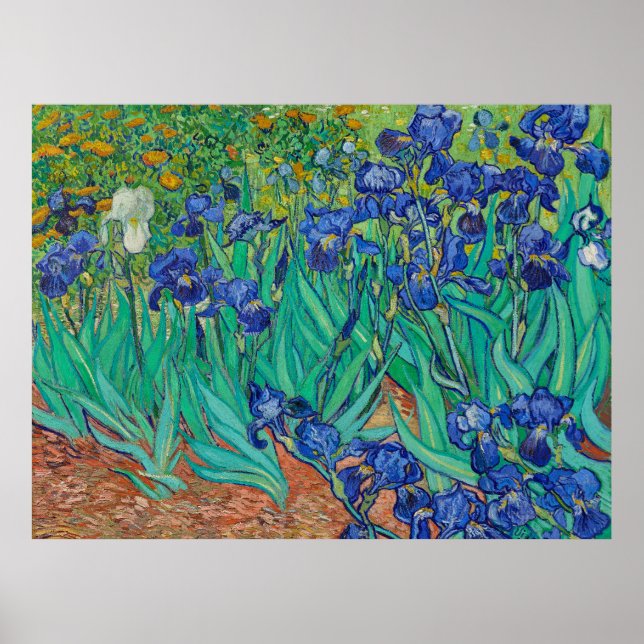 Van Gogh's Irises Poster (Front)