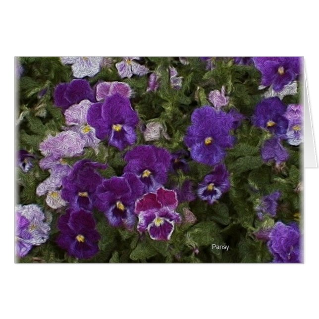 van gross etc 025 (Front Horizontal)