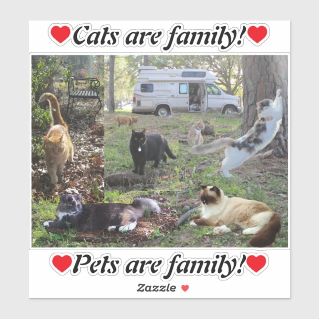 Van Life Cat Lady The Whole Fam Damily (Sheet)
