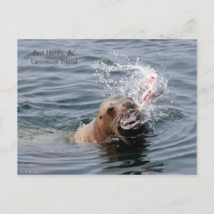 Vancouver Island Postcard