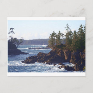 Vancouver Island West Coast in Oils Postcard