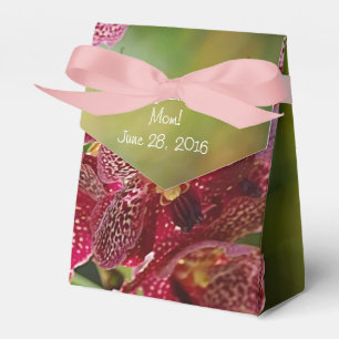 Vanda Orchid Cluster Birthday Tent Favour Box