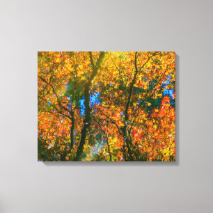 VanDusen Botanical Garden Vancouver, Canada Canvas Print