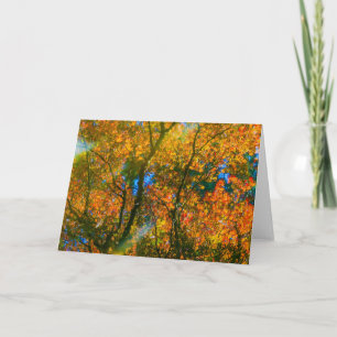 VanDusen Botanical Garden Vancouver, Canada Card