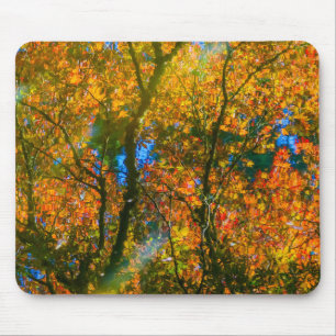 VanDusen Botanical Garden Vancouver, Canada Mouse Mat