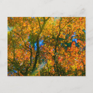 VanDusen Botanical Garden Vancouver, Canada Postcard