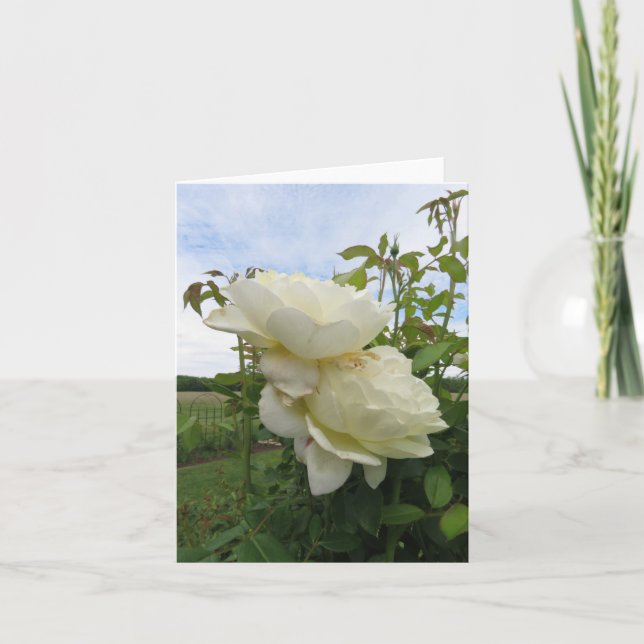 Vanessa Bell Yellow Rose, Vertical  Card (Front)