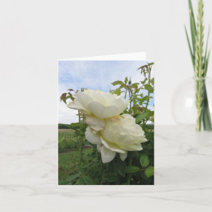 Vanessa Bell Yellow Rose, Vertical  Card