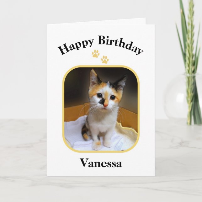 Vanessa Calico Kitten Happy Birthday Card (Front)