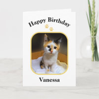 Vanessa Calico Kitten Happy Birthday