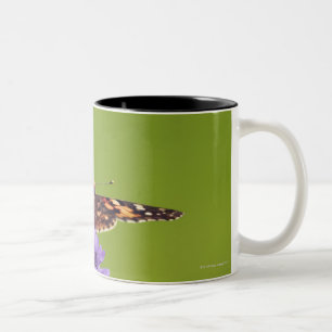 vanessa cardui - Europe, Germany, Bavaria, Two-Tone Coffee Mug