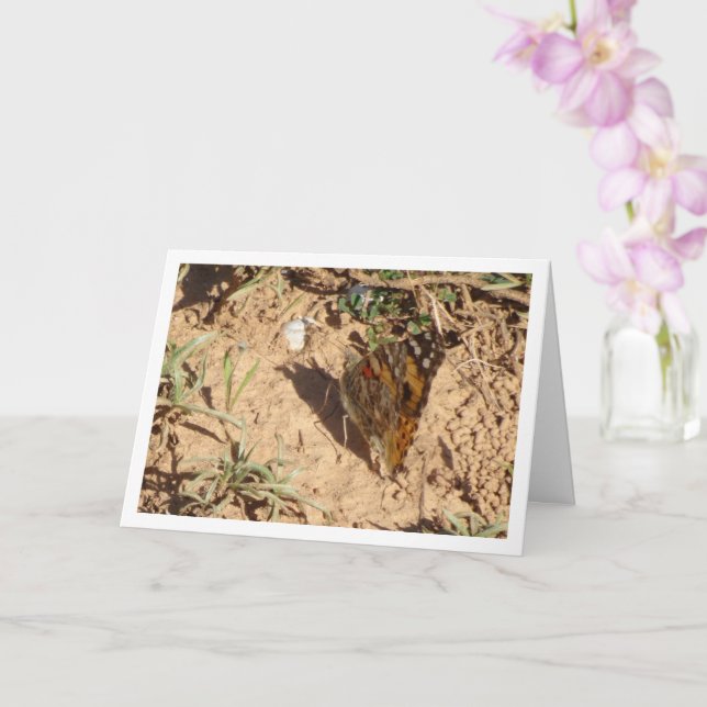 Vanessa cardui - Painted Lady Butterfly Card (Orchid)